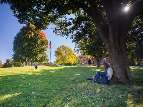 一名学生坐在UNH校园的一棵树上