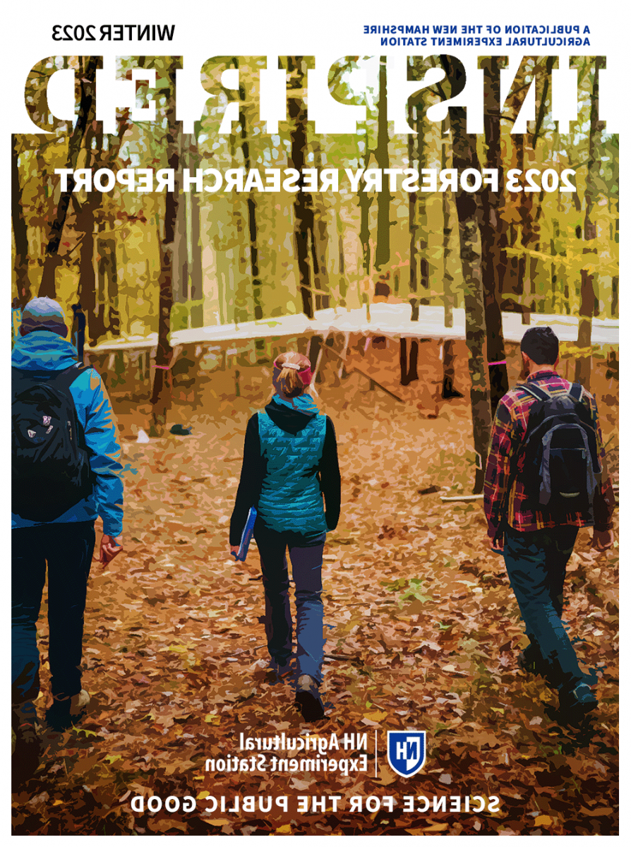 《灵感林业研究报告》的封面图片显示三个人在树林里散步.